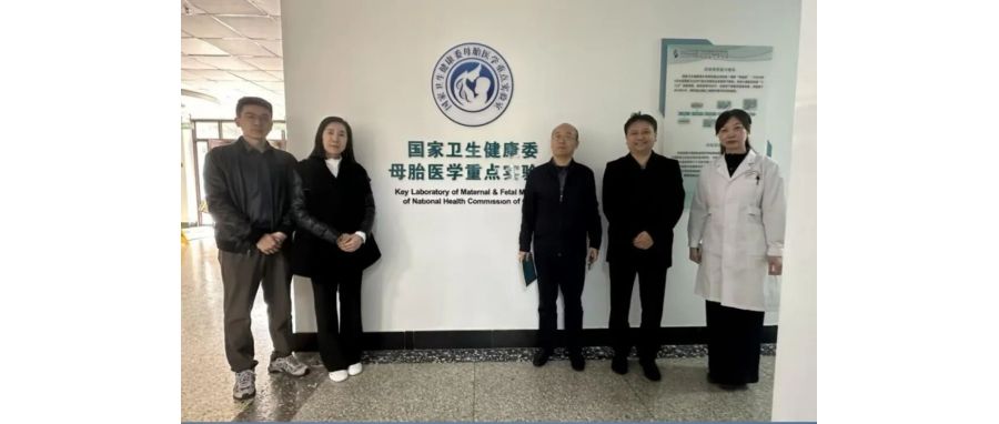 研讨合作｜k8com官网团队访问山东省妇幼保健院，共探妇幼领域细胞治疗创新应用